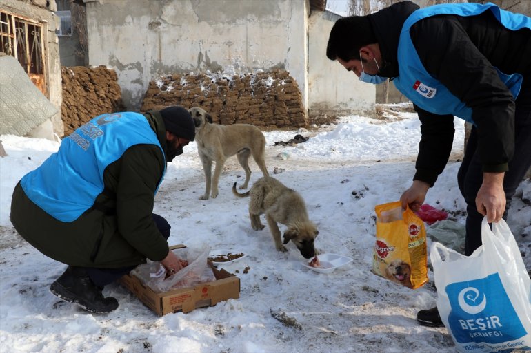 Dondurucu soğuğun etkili olduğu Ağrı da sokak hayvanlarının yaşam alanlarına mama ve et bırakıldı1