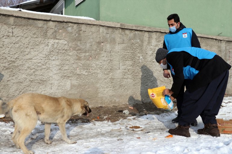 Dondurucu soğuğun etkili olduğu Ağrı da sokak hayvanlarının yaşam alanlarına mama ve et bırakıldı5