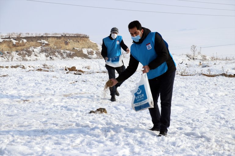 Dondurucu soğuğun etkili olduğu Ağrı da sokak hayvanlarının yaşam alanlarına mama ve et bırakıldı6