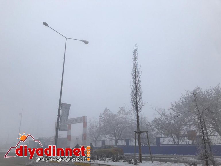 Yoğun sis Ağrı yı etkisi altına aldı4