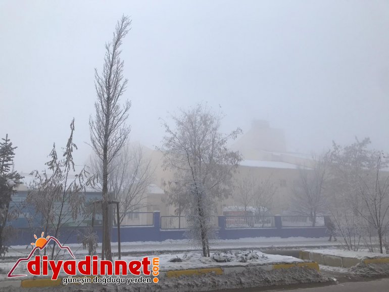 Yoğun sis Ağrı yı etkisi altına aldı6