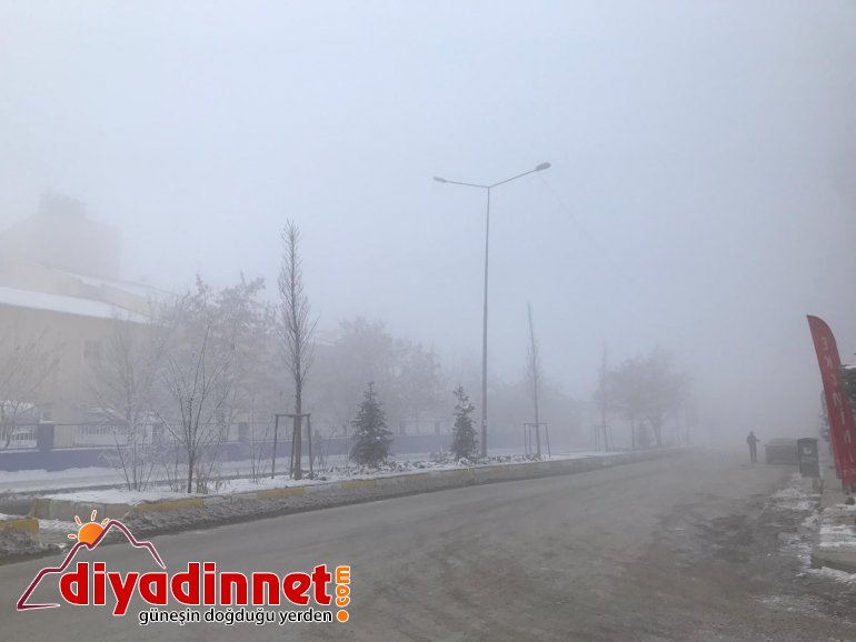 Yoğun sis Ağrı yı etkisi altına aldı7