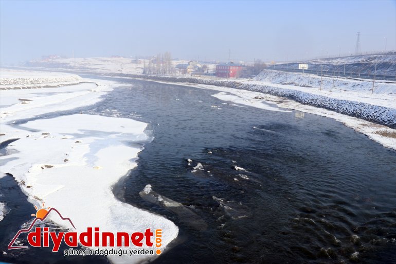 Ağrı da dondurucu soğuklar etkili oluyor9