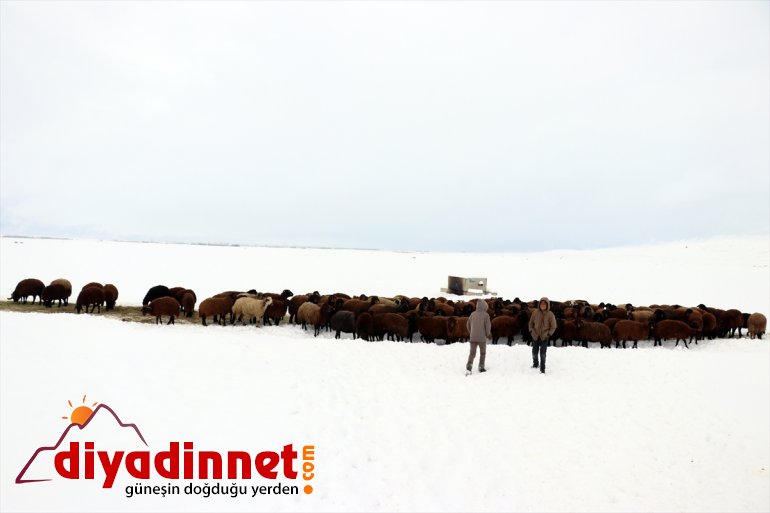Ağrı da etkili olan kar yağışı hayatı olumsuz etkiliyor14