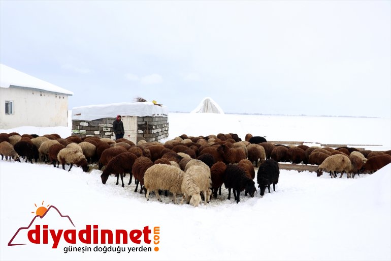 Ağrı da etkili olan kar yağışı hayatı olumsuz etkiliyor15