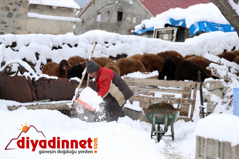 Ağrı da etkili olan kar yağışı hayatı olumsuz etkiliyor6