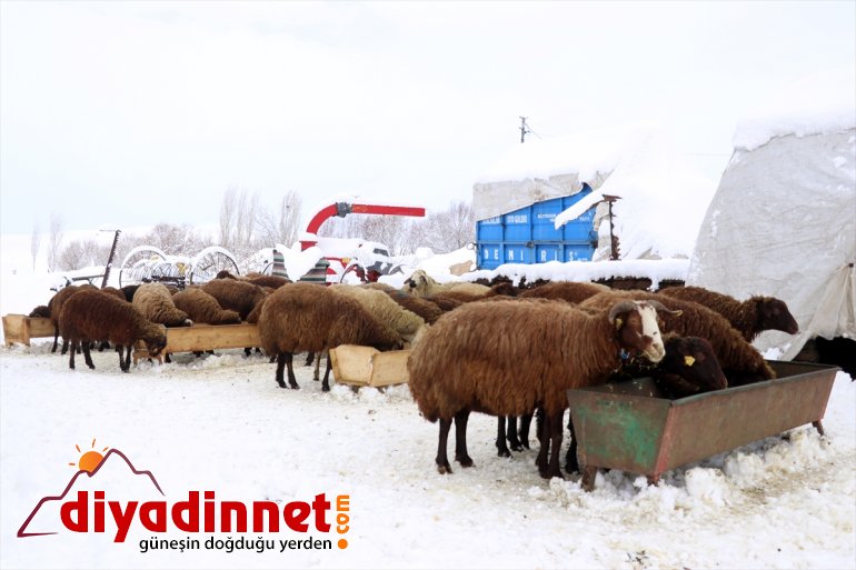 Ağrı da etkili olan kar yağışı hayatı olumsuz etkiliyor10