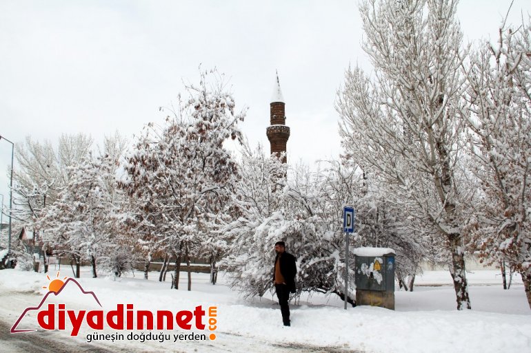 Ağrı da kartpostallık manzaralar4