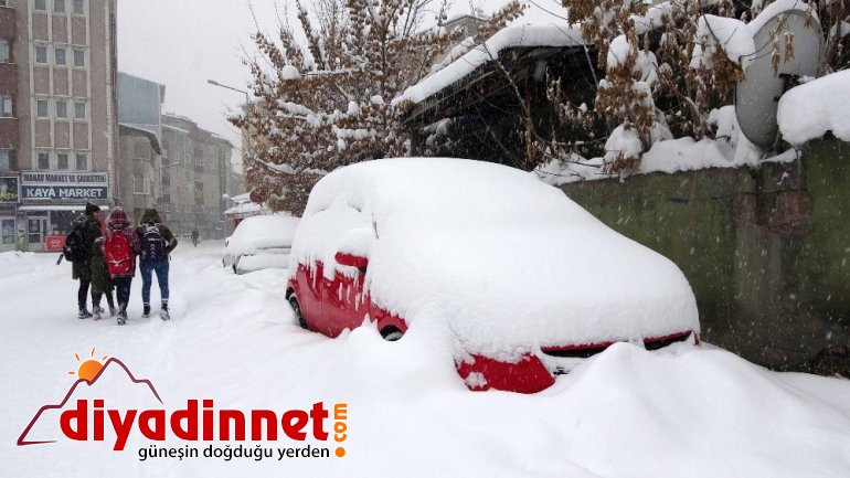 Ağrı'da köy yolları kar ve tipi nedeniyle ulaşıma kapandı