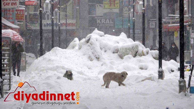 Ağrı da köy yolları kar ve tipi nedeniyle ulaşıma kapandı2