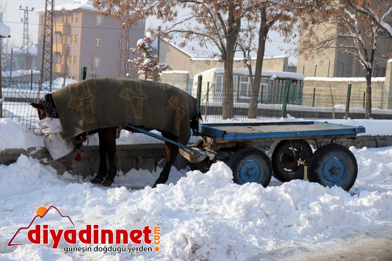 Ağrı da termometreler sıfırın altında dereceyi gösterdi11