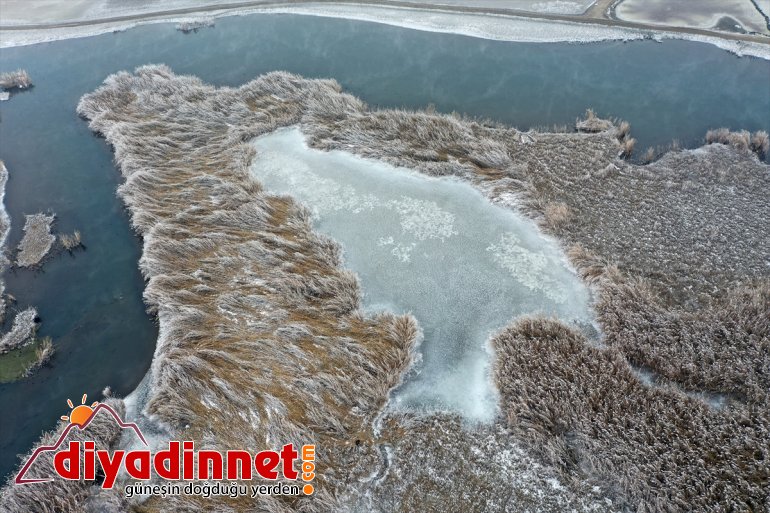 göz Ağrı kamaştırıyor Milli kış güzelliğiyle Parkı Dağı 11