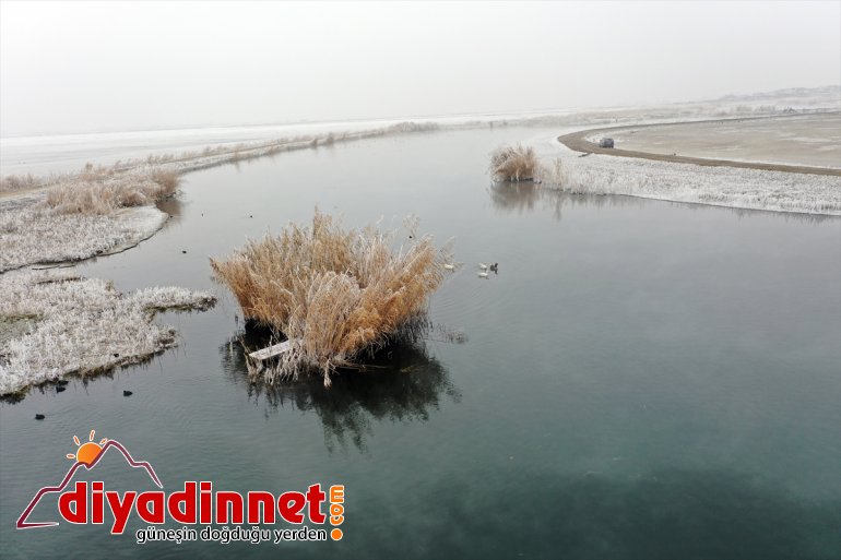 güzelliğiyle Dağı Parkı Milli göz Ağrı kış kamaştırıyor 12