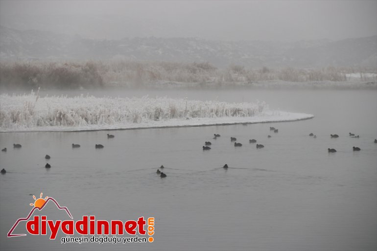Parkı göz güzelliğiyle Ağrı Milli kış kamaştırıyor Dağı 16
