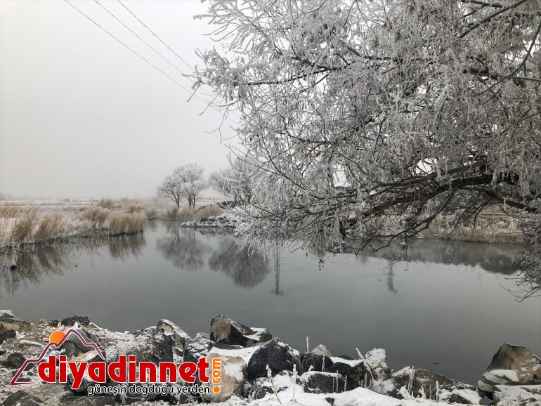 kamaştırıyor göz Dağı Milli Parkı kış güzelliğiyle Ağrı 17