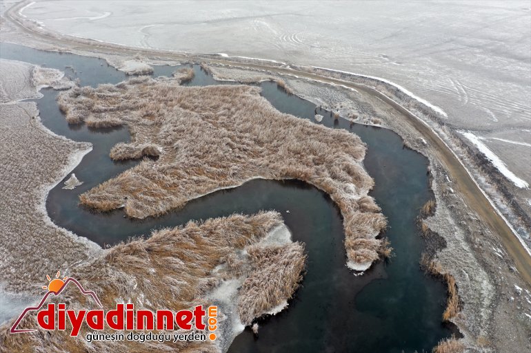 güzelliğiyle göz Dağı kış kamaştırıyor Milli Parkı Ağrı 4