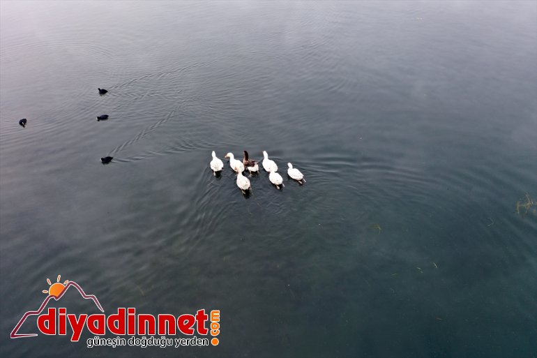 Ağrı kamaştırıyor Dağı kış Parkı göz güzelliğiyle Milli 7