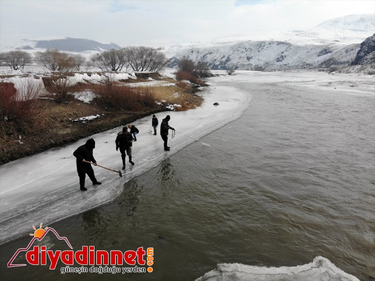 AĞRI kentin - Denizsiz nehirden ekmeklerini balıkçıları kaplı çıkarıyor buzla 12