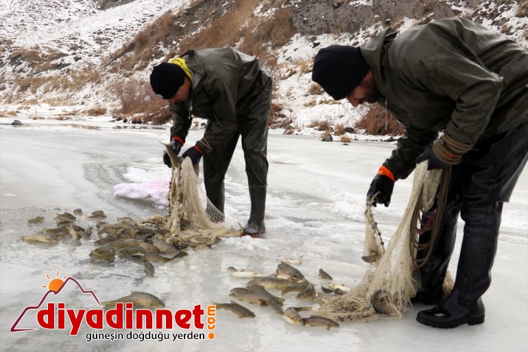 kentin buzla Denizsiz - çıkarıyor balıkçıları ekmeklerini kaplı nehirden AĞRI 15