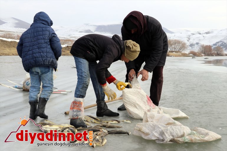 - balıkçıları buzla kentin AĞRI nehirden çıkarıyor Denizsiz kaplı ekmeklerini 9