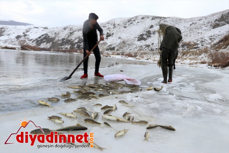 çıkarıyor - buzla nehirden Denizsiz AĞRI kentin balıkçıları kaplı ekmeklerini 10