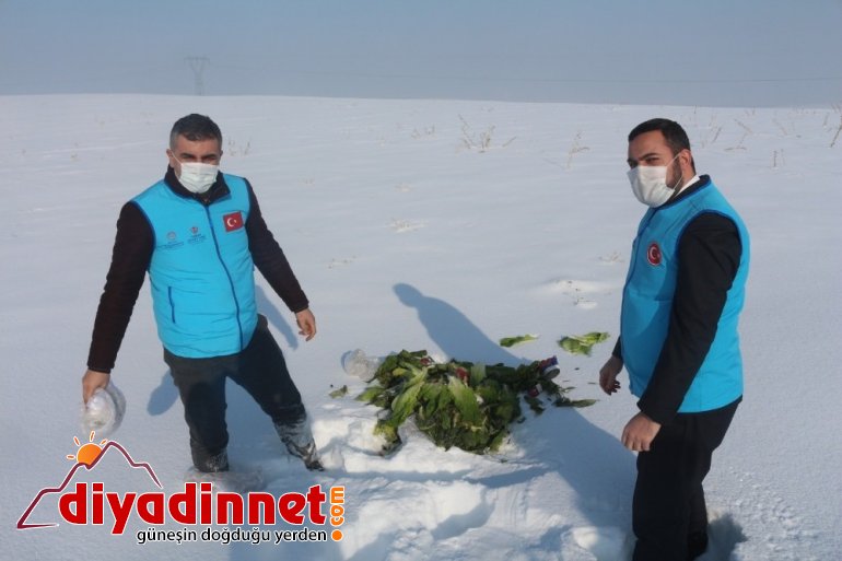 Ağrı İl Müftülüğü, yabani hayvanlar için yiyecek bıraktı