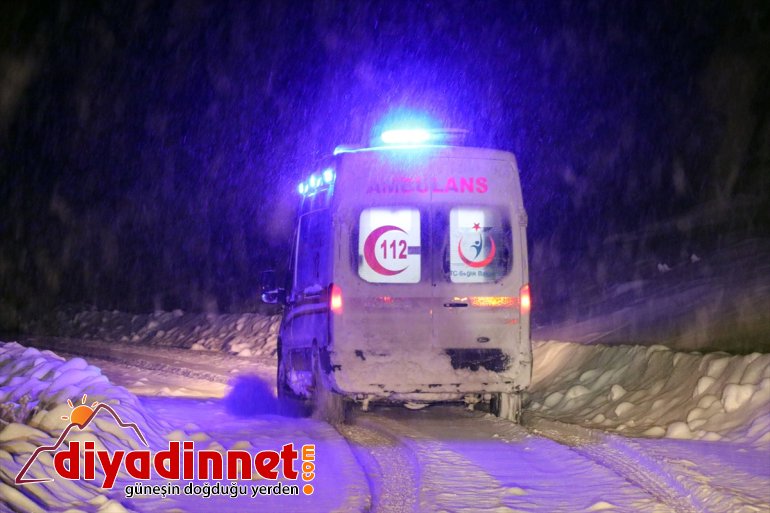 ambulans paletli yardımına hamile kadının Ağrı