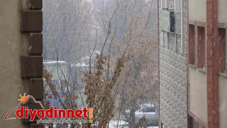 Dondurucu soğuklar yerini kar yağışına bıraktı2