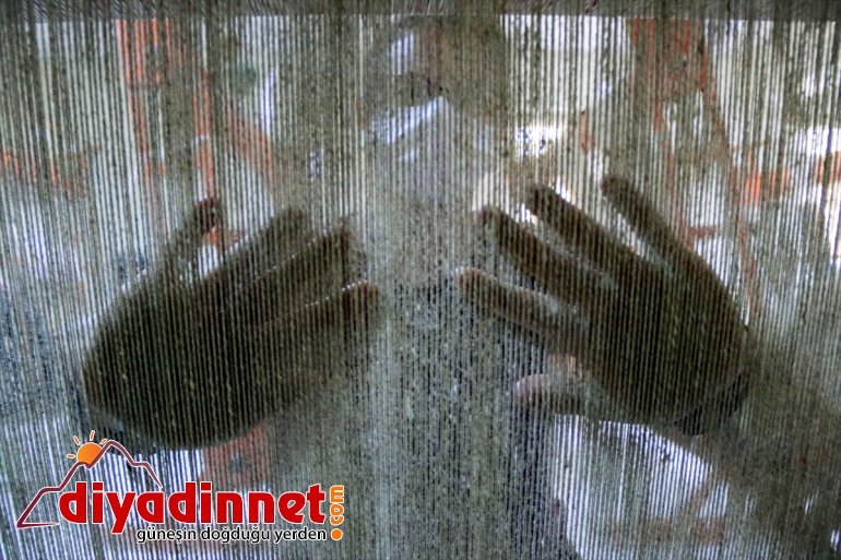 dokunan Japon Ağrı Dağı