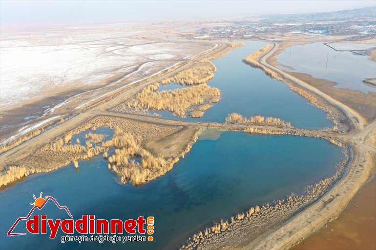 "Türkiye'nin çatısı" kış göçmeni misafirlerini ağırlıyor