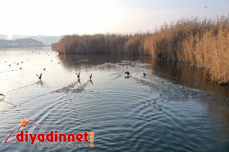 çatısı kış Türkiye