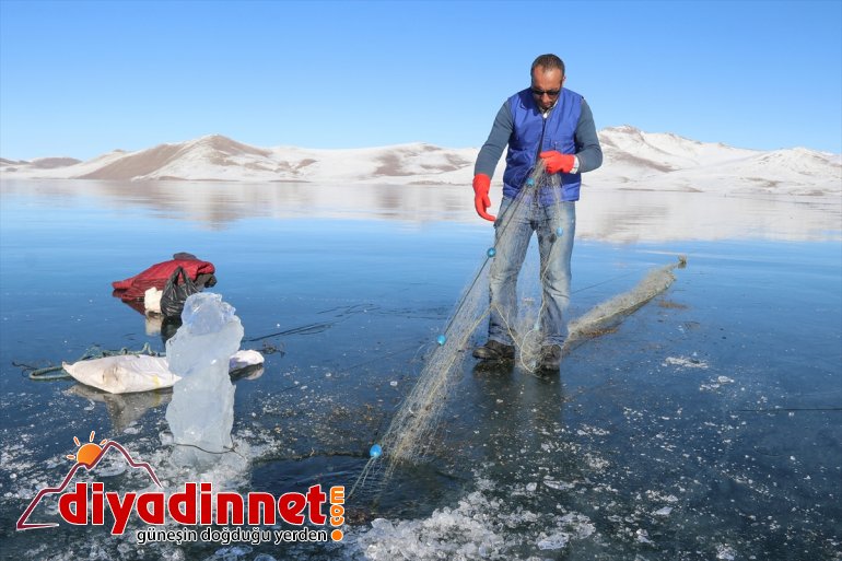 IĞDIR buz tutan - Balık ziyaretçilerini Gölü Yüzeyi cezbediyor 21