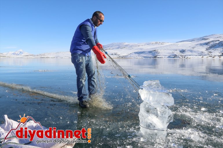 buz tutan Balık cezbediyor Gölü IĞDIR - Yüzeyi ziyaretçilerini 29