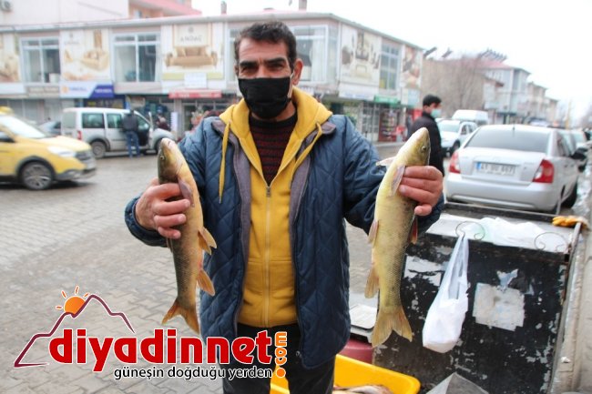 Murat Nehri'nde balık bolluğu