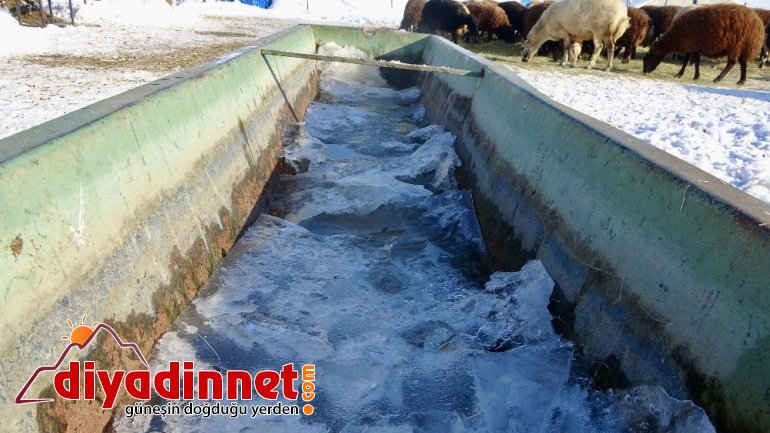 Dondurucu soğuklarda sırtında ot taşıyarak hayvanlarını besliyor