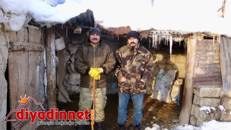 ondurucu soğuklarda sırtında ot taşıyarak hayvanlarını besliyor4