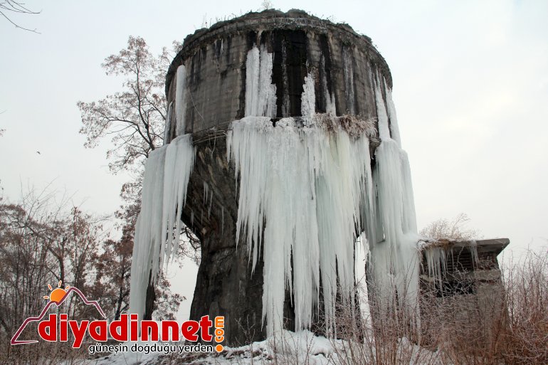 Sibirya soğukları Ağrı