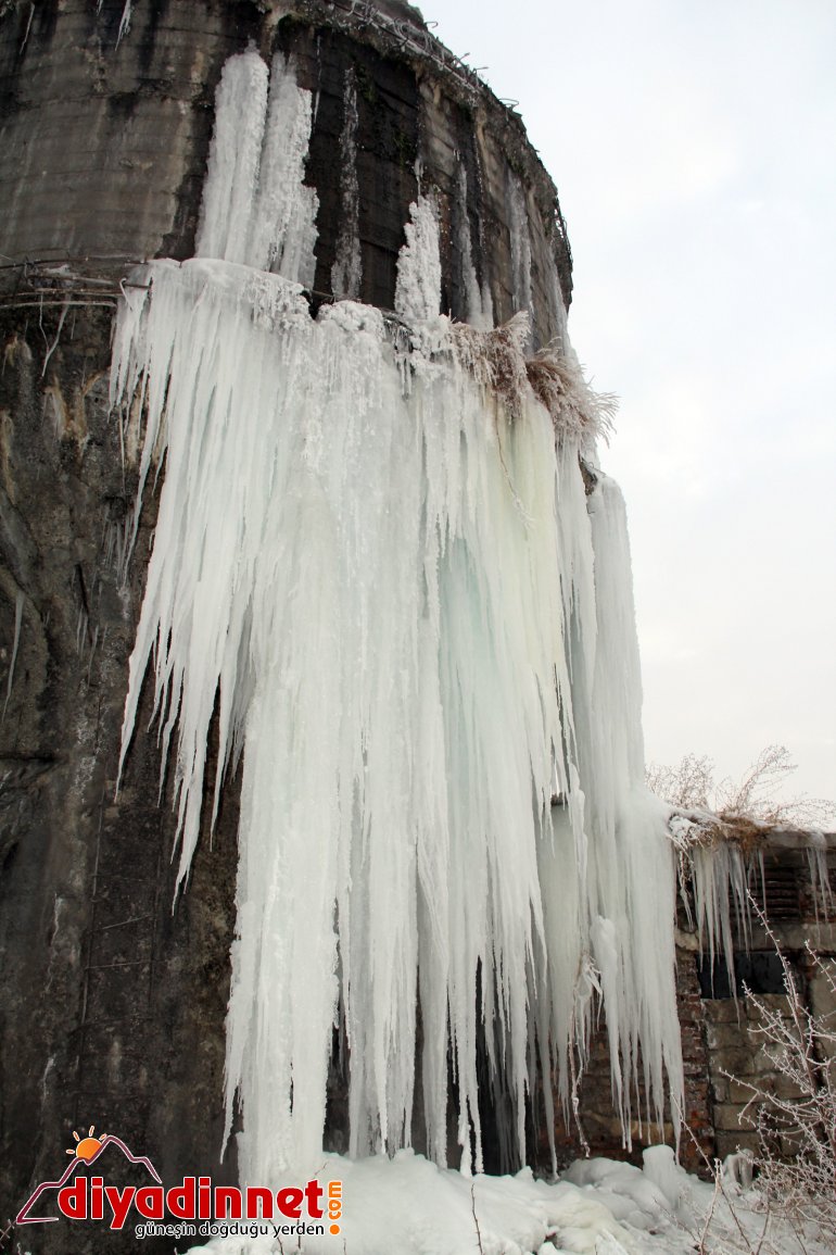 Sibirya soğukları Ağrı yı dondurdu13