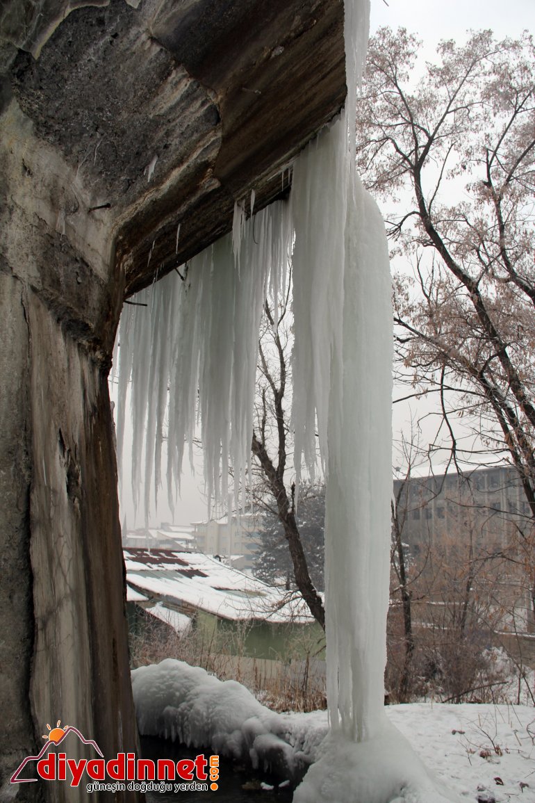 Sibirya soğukları Ağrı yı dondurdu14