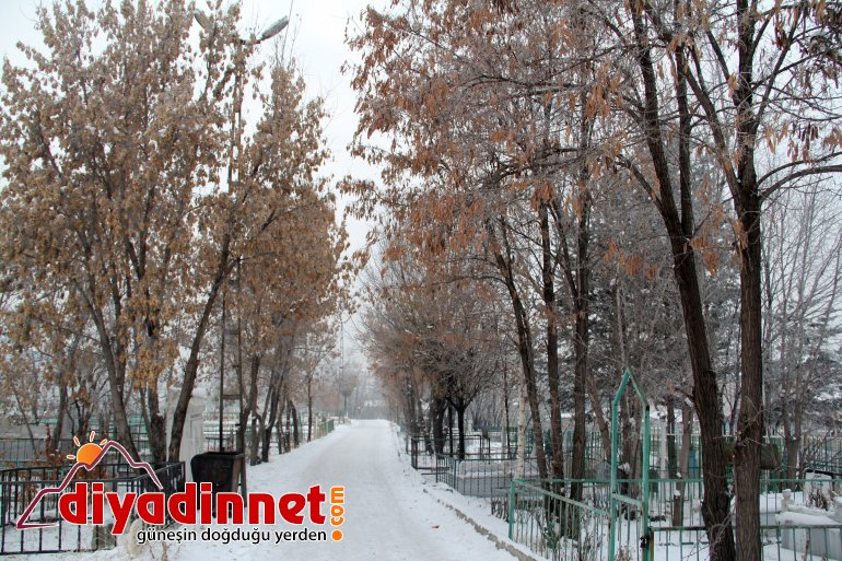 Sibirya soğukları Ağrı'yı dondurdu