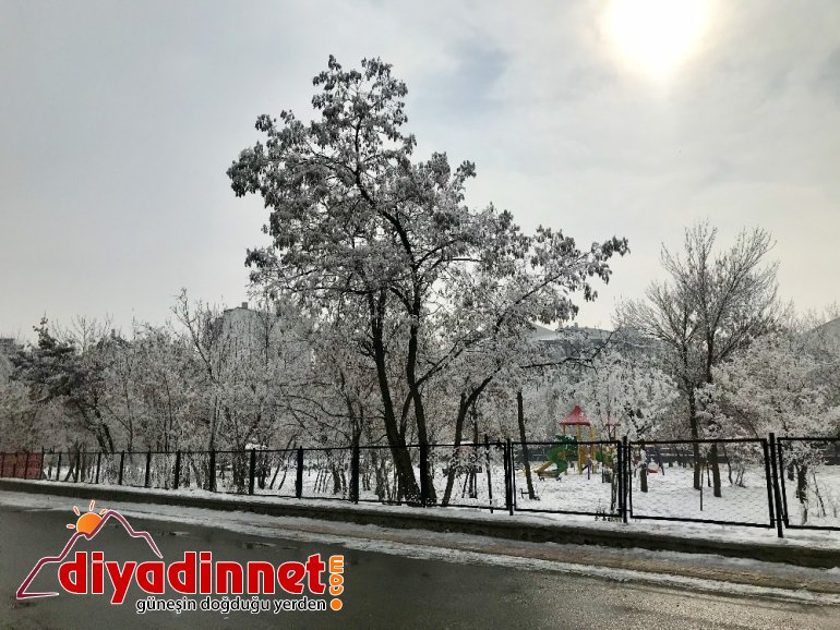 Ağaçlardaki kırağı kartpostallık görüntüler oluşturdu1