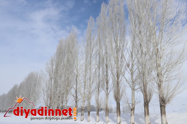 Ağrı da dere ve nehirler dondu bina çatılarında buz sarkıtları oluştu11