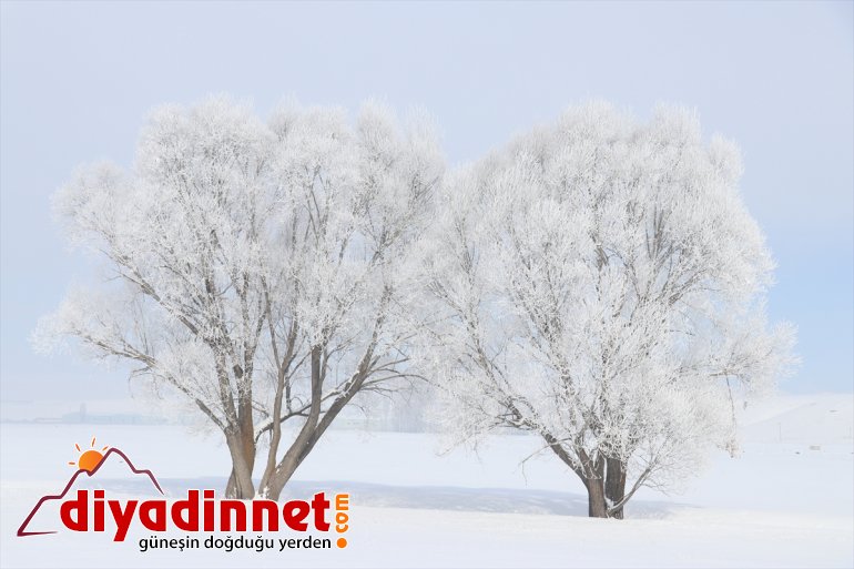 Ağrı da dere ve nehirler dondu bina çatılarında buz sarkıtları oluştu8