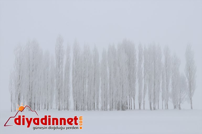 Ağrı'da dondurucu soğuklar ile doğal güzellikler bir arada yaşanıyor