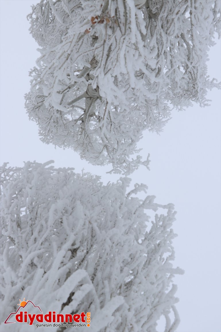 Ağrı da dondurucu soğuklar ile doğal güzellikler bir arada yaşanıyor2