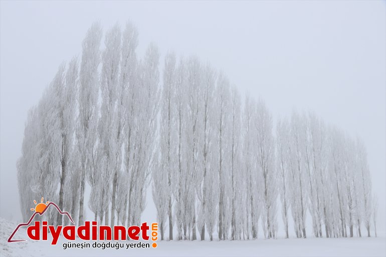 Ağrı da dondurucu soğuklar ile doğal güzellikler bir arada yaşanıyor3