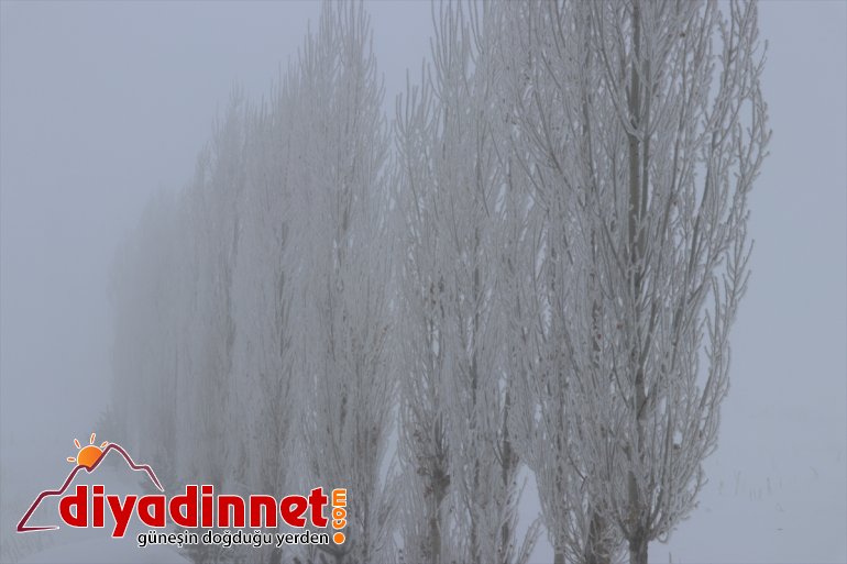 Ağrı da dondurucu soğuklar ile doğal güzellikler bir arada yaşanıyor4