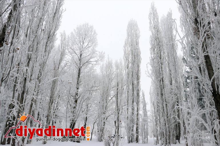 Ağrı da dondurucu soğuklar ile doğal güzellikler bir arada yaşanıyor5