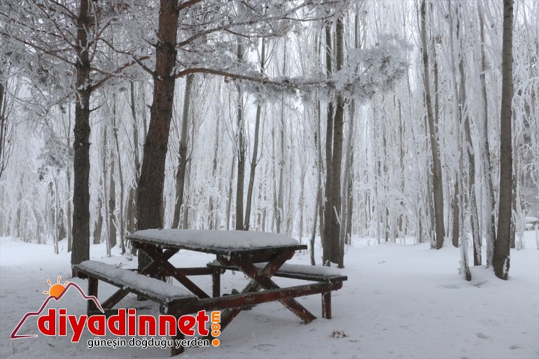 Ağrı da dondurucu soğuklar ile doğal güzellikler bir arada yaşanıyor6
