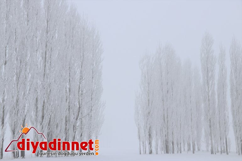 Ağrı da dondurucu soğuklar ile doğal güzellikler bir arada yaşanıyor7